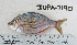  ( - JUPA-7190)  @11 [ ] CreativeCommons - Attribution Share-Alike (2014) Unspecified Foothill Technology High School