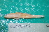  ( - UW-108)  @11 [ ] CreativeCommons - Attribution Share-Alike (2014) Unspecified Foothill Technology High School