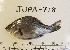  (Micrometrus - JUPA-718)  @14 [ ] CreativeCommons - Attribution Share-Alike (2013) Unspecified Ventura High School