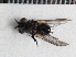  ( - F13MT42)  @11 [ ] CreativeCommons - Attribution Share-Alike (2014) Unspecified UCSD