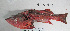 ( - MILO-913)  @11 [ ] CreativeCommons - Attribution Share-Alike (2014) Unspecified Academy for Science and Design