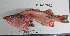  ( - MILO-943)  @11 [ ] CreativeCommons - Attribution Share-Alike (2014) Unspecified Academy for Science and Design