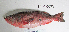  ( - MILO-7076)  @11 [ ] CreativeCommons - Attribution Share-Alike (2014) Unspecified Glenbard East High School