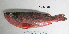  ( - MILO-7078)  @11 [ ] CreativeCommons - Attribution Share-Alike (2014) Unspecified Glenbard East High School
