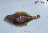  ( - FT-7107)  @11 [ ] CreativeCommons - Attribution Share-Alike (2014) Unspecified Cate School