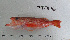  ( - FT-7176)  @11 [ ] CreativeCommons - Attribution Share-Alike (2014) Unspecified San Juan Hills High School