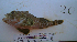  ( - ATS-20)  @12 [ ] CreativeCommons - Attribution Share-Alike (2013) Unspecified Foothill Technology High School