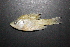  ( - 2014-CAPS-PM-A-3-2-Green-Sunfish)  @12 [ ] CreativeCommons - Attribution Share-Alike (2015) Unspecified Center for Advanced Professional Studies (CAPS)