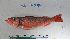  ( - HL-14249)  @11 [ ] CreativeCommons - Attribution Share-Alike (2015) Unspecified St. Paul's School
