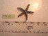  ( - 17_FA_008)  @11 [ ] CreativeCommons - Attribution Share-Alike (2017) Unspecified Bamfield Marine Sciences Centre