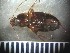  ( - RU-3-F18)  @13 [ ] CreativeCommons - Attribution Share-Alike (2018) Unspecified Radford University