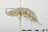  ( - Zool576-F18-T07-022)  @11 [ ] CreativeCommons - Attribution Share-Alike (2019) Unspecified University of Calgary