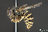  ( - Zool576-SUM17-T02-048)  @14 [ ] CreativeCommons - Attribution Share-Alike (2019) Unspecified University of Calgary
