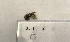  ( - 19_BHS_EC_02)  @11 [ ] CreativeCommons - Attribution Share-Alike (2019) Unspecified Brunswick High School