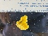  ( - ESCI426-13)  @11 [ ] CreativeCommons - Attribution Share-Alike (2019) Unspecified Western Washington University