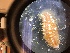  ( - ESCI426-91)  @11 [ ] CreativeCommons - Attribution Share-Alike (2019) Unspecified Western Washington University