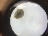  ( - ESCI426-62)  @11 [ ] CreativeCommons - Attribution Share-Alike (2019) Unspecified Western Washington University