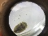  ( - ESCI426-62)  @11 [ ] CreativeCommons - Attribution Share-Alike (2019) Unspecified Western Washington University