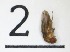  ( - DKU.Biol201.F19.TC2.2)  @11 [ ] CreativeCommons - Attribution Share-Alike (2019) Unspecified Duke Kunshan University