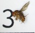 ( - DKU.Biol201.F19.TD1.3)  @11 [ ] CreativeCommons - Attribution Share-Alike (2019) Unspecified Duke Kunshan University