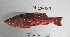  ( - MILO-934)  @11 [ ] CreativeCommons - Attribution Share-Alike (2013) Unspecified Ohlone