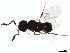  ( - BIOUG16371-C01)  @13 [ ] CreativeCommons - Attribution (2019) CBG Photography Group Centre for Biodiversity Genomics