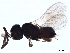  ( - BIOUG16371-C07)  @13 [ ] CreativeCommons - Attribution (2019) CBG Photography Group Centre for Biodiversity Genomics