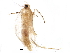 ( - BIOUG16514-D08)  @12 [ ] CreativeCommons - Attribution (2016) CBG Photography Group Centre for Biodiversity Genomics