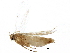  ( - BIOUG16514-H01)  @12 [ ] CreativeCommons - Attribution (2016) CBG Photography Group Centre for Biodiversity Genomics