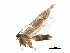  ( - BIOUG13749-A01)  @12 [ ] CreativeCommons - Attribution (2015) CBG Photography Group Centre for Biodiversity Genomics