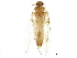  ( - BIOUG14009-F07)  @12 [ ] CreativeCommons - Attribution (2016) CBG Photography Group Centre for Biodiversity Genomics