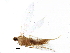  ( - BIOUG14009-F09)  @12 [ ] CreativeCommons - Attribution (2016) CBG Photography Group Centre for Biodiversity Genomics
