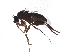 ( - BIOUG15683-B02)  @13 [ ] CreativeCommons - Attribution (2018) CBG Photography Group Centre for Biodiversity Genomics