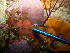  ( - CRFCH301)  @11 [ ] CreativeCommons - Attribution Non-Commercial No Derivatives (2014) E. Snyman Stellenbosch University