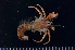  ( - MB-A066760)  @11 [ ] CreativeCommons  Attribution Non-Commercial Share-Alike (2014) Jannes Landschoff University of Cape Town