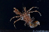  ( - MB-A066761)  @11 [ ] CreativeCommons  Attribution Non-Commercial Share-Alike (2014) Jannes Landschoff University of Cape Town