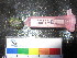  ( - MM14-094)  @11 [ ] CreativeCommons - Attribution Share-Alike (2014) Unspecified South African Institute for Aquatic Biodiversity