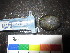  ( - MM14-120)  @11 [ ] CreativeCommons - Attribution Share-Alike (2014) Unspecified South African Institute for Aquatic Biodiversity