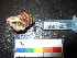  ( - MM14-150)  @11 [ ] CreativeCommons - Attribution Share-Alike (2014) Unspecified South African Institute for Aquatic Biodiversity