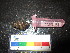  ( - MM14-151)  @11 [ ] CreativeCommons - Attribution Share-Alike (2014) Unspecified South African Institute for Aquatic Biodiversity