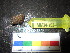  ( - MM14-153)  @11 [ ] CreativeCommons - Attribution Share-Alike (2014) Unspecified South African Institute for Aquatic Biodiversity