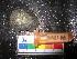  (Cymbula sp - MM14-165)  @11 [ ] CreativeCommons - Attribution Share-Alike (2014) Unspecified South African Institute for Aquatic Biodiversity