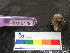  ( - MM14-176)  @11 [ ] CreativeCommons - Attribution Share-Alike (2014) Unspecified South African Institute for Aquatic Biodiversity