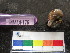  ( - MM14-176)  @11 [ ] CreativeCommons - Attribution Share-Alike (2014) Unspecified South African Institute for Aquatic Biodiversity