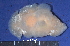  ( - MB-A065903)  @11 [ ] CreativeCommons - Attribution Non-Commercial Share-Alike (2014) Jannes Landschoff University of Cape Town