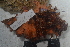  ( - MB-A065968)  @12 [ ] CreativeCommons - Attribution Non-Commercial Share-Alike (2014) Jannes Landschoff University of Cape Town