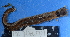  ( - MB-A066004)  @11 [ ] CreativeCommons - Attribution Non-Commercial Share-Alike (2014) Jannes Landschoff University of Cape Town