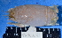  ( - MB-A066028)  @14 [ ] CreativeCommons - Attribution Non-Commercial Share-Alike (2014) Jannes Landschoff University of Cape Town