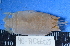  ( - MB-A066029)  @13 [ ] CreativeCommons - Attribution Non-Commercial Share-Alike (2014) Jannes Landschoff University of Cape Town
