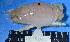  ( - MB-A066030)  @14 [ ] CreativeCommons - Attribution Non-Commercial Share-Alike (2014) Jannes Landschoff University of Cape Town